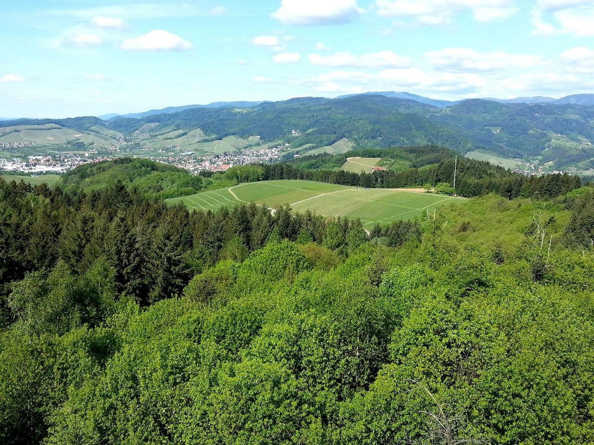 אוברקירש Ferienhof Vordere Alm מראה חיצוני תמונה
